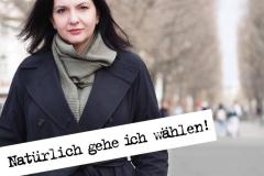 Wahlkampagne 2024