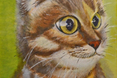 Katze Roksy – Ekaterina Romanchenko