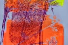 Ausstellung "Wald – Kinder – Kunst" im Ausländerrat Dresden e.V.