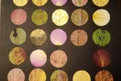 Ausstellung "Wald – Kinder – Kunst" im Ausländerrat Dresden e.V.